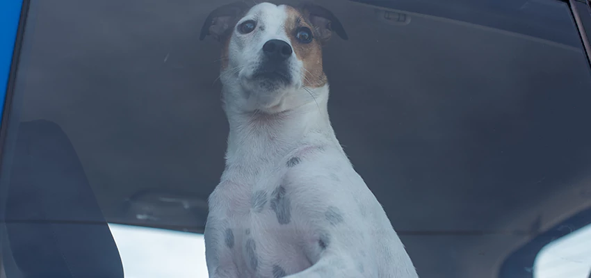 Car Lockout Solutions in Rialto, California